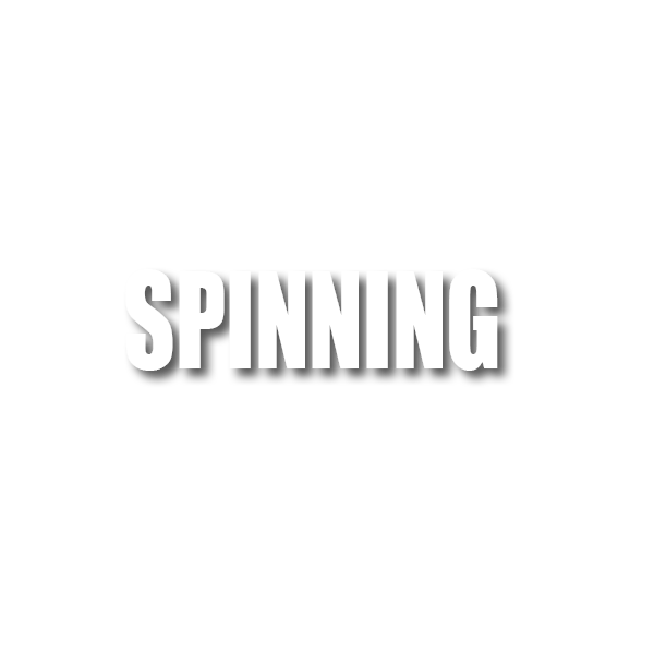 logo_Spinning